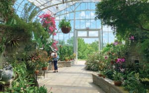 Greenhouse at Lewis Ginter Botanical Garden Image