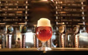 Learn how to make Sierra Nevada beer with Great Courses Image