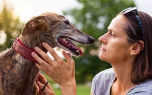 Woman with dog who is way too obsessed with her Image