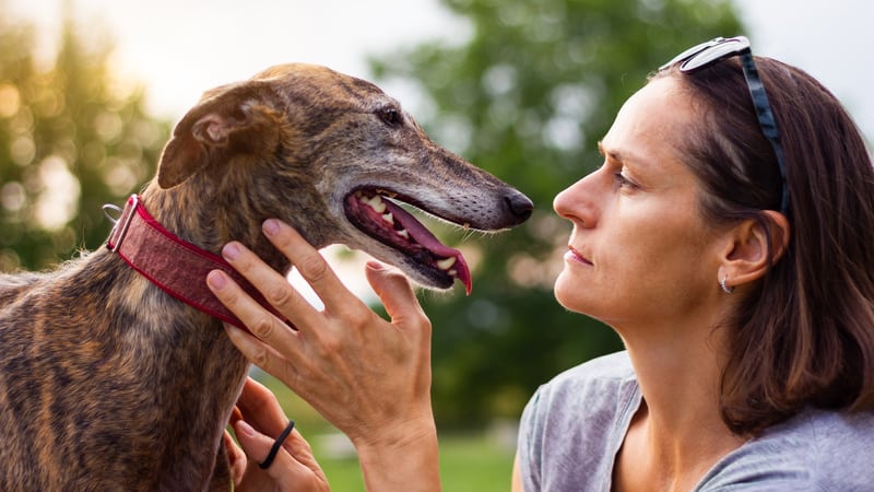 Woman with dog who is way too obsessed with her