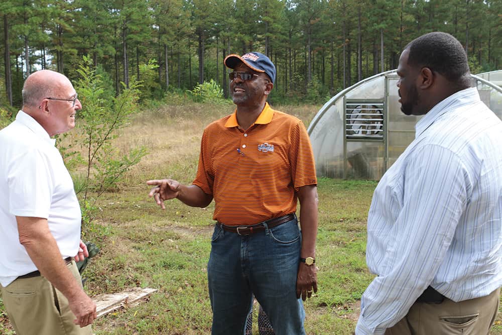 Three men at Casselmonte Farm