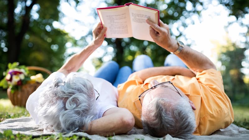 Seniors having a romantic picnic and reading