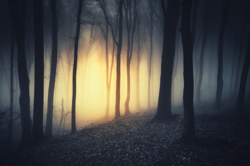 haunted forest
