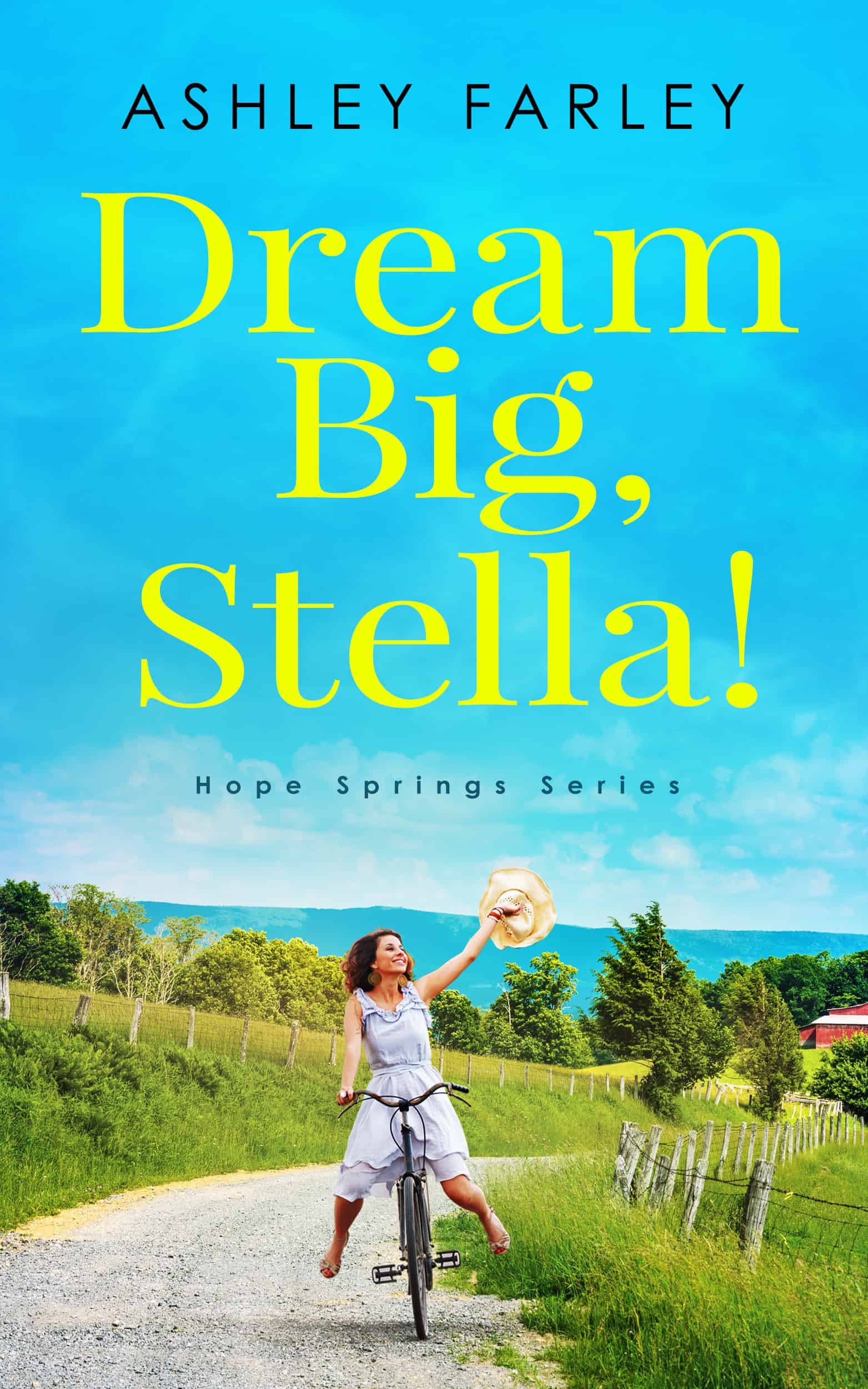 Dream Big Stella cover