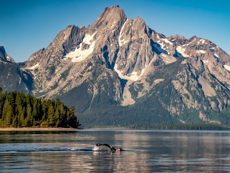 Triathlete Will Turner swimming at Glacier National Park