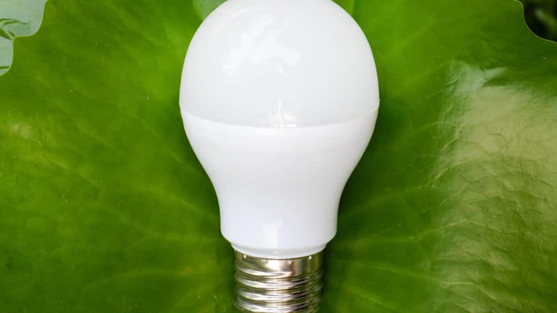 technology for a green lifestyle Image