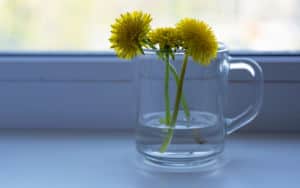 Just flowers in a glass Image
