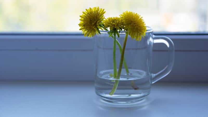 Just flowers in a glass Image
