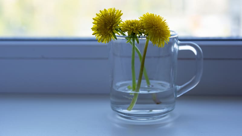 Just flowers in a glass