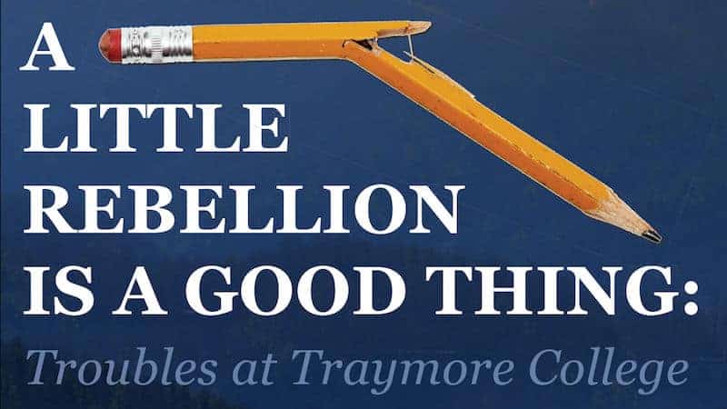 a little rebellion is a good thing shirt