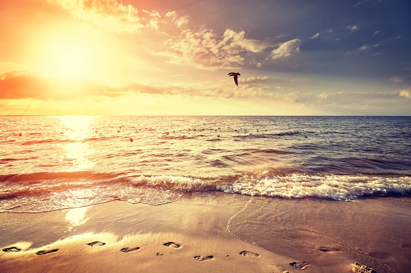 Footprints on the sand with waves lapping up, reflecting childhood beach memories