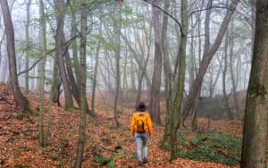 Cold weather camping and hiking Image