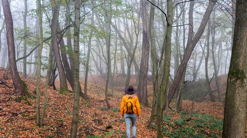 Cold weather camping and hiking Image