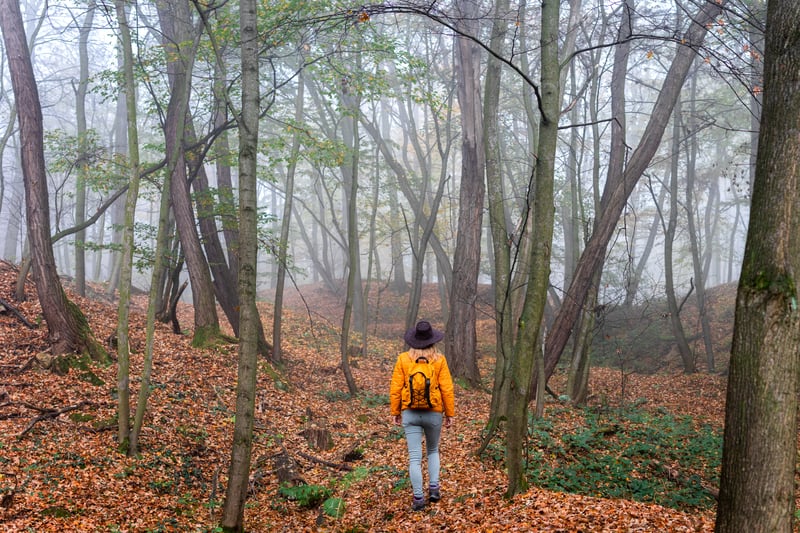 Cold weather camping and hiking