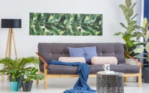inexpensive home improvements include plants, new furniture, and accessories Image