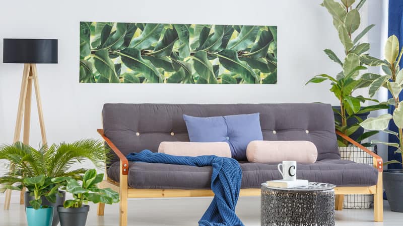 inexpensive home improvements include plants, new furniture, and accessories Image