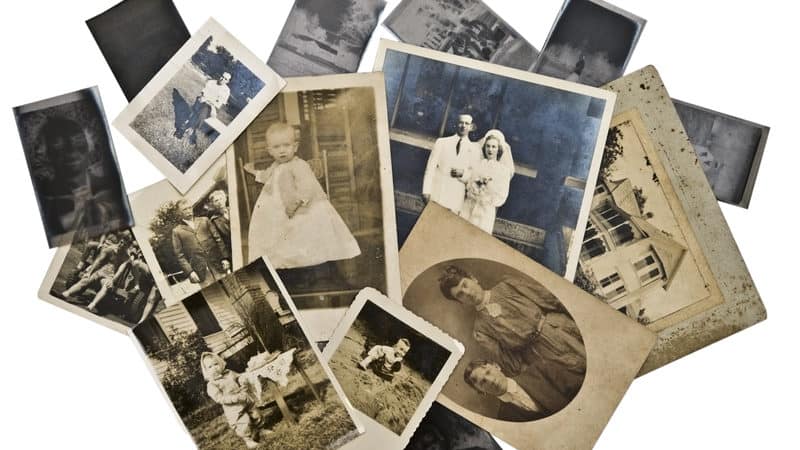 DNA family secret Image