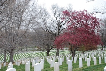 Arlington National Cemetery