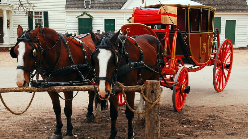 Carriage in Williamsburg Image
