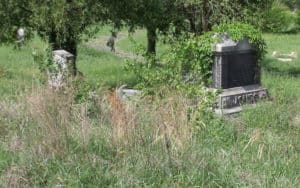 Woodland Cemetery, a historic African American cemetery in Richmond, Virginia, became overgrown and vandalized. These were the gravestones of Daisy Jones and Alice Royall in April 2013. Photo by John Shuck Image