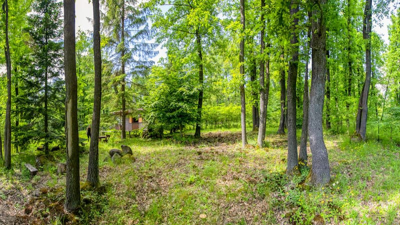 cabin in the woods Image