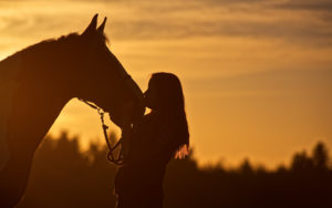Horse and young woman against a sunset, showing the bond between girls and horses Image