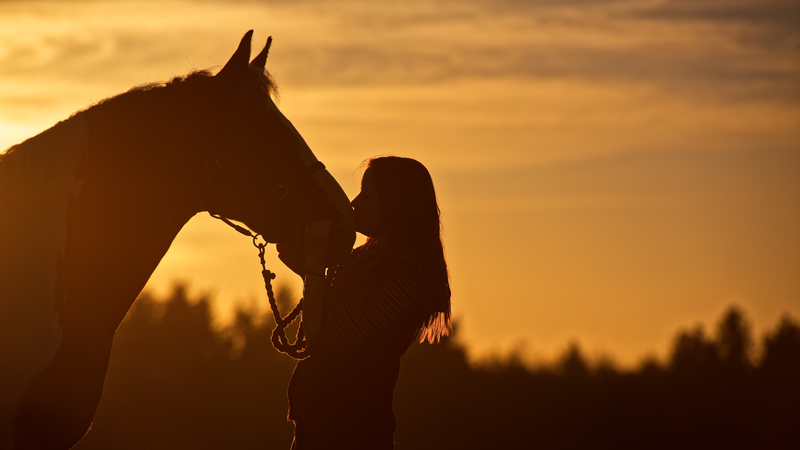 Horse and young woman against a sunset, showing the bond between girls and horses