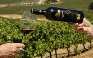 This wine is Coming 2 America Image