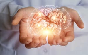 support a healthy brain image for keep your brain healthy article Image