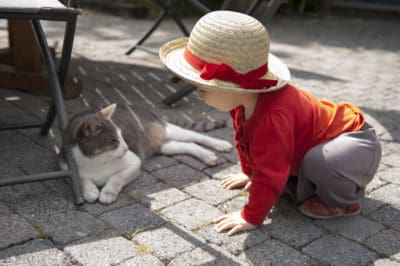 Little toddler girl bending down to pet a cat