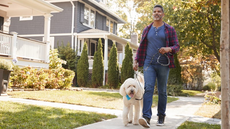 Man walking dog for Greg Schwem's humor on walking during the pandemic. Credit: monkey business images dreamstime