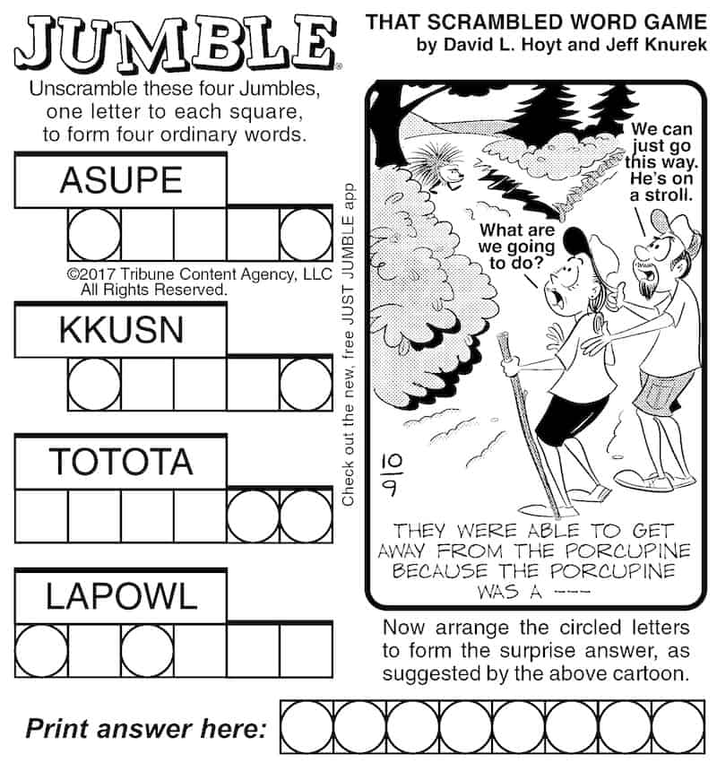 Jumble puzzle for adults