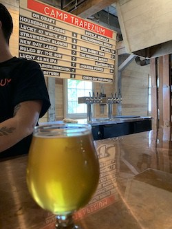 Bar at Camp Trapezium with a wild ale in the foreground