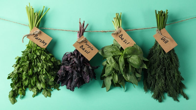 Keep your herbs fresh by drying them