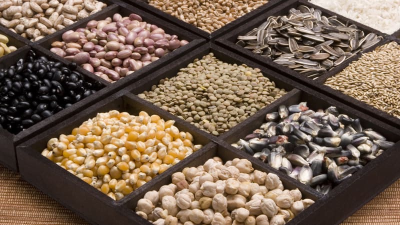 Whole bunch of nutritious seeds