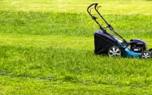 Lawnmower on a partially mowed lawn, for Vaccination lotteries and rewards request Image