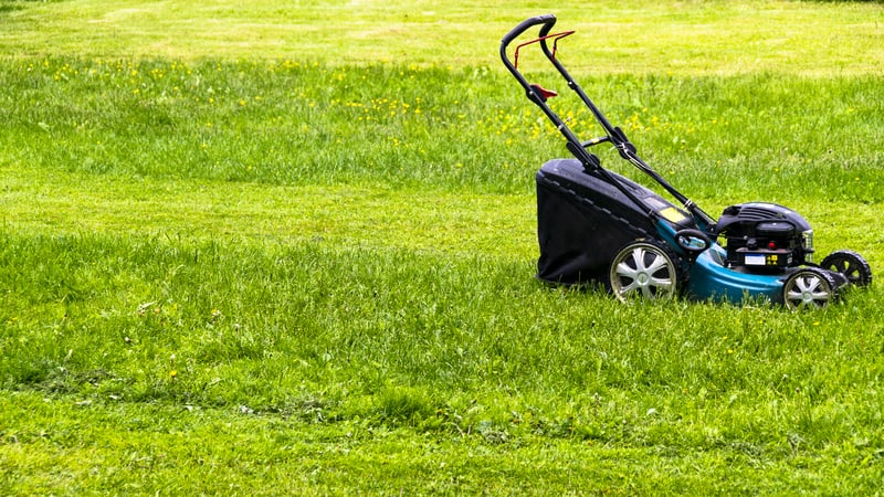 Lawnmower on a partially mowed lawn, for Vaccination lotteries and rewards request