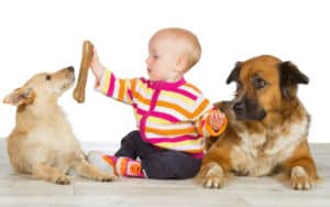 two dogs and a baby - martina osmy dreamstime Image