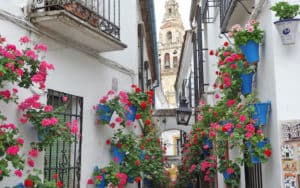 Streets of Andalusian Cordoba, for Spanish Cordoba through a locals' focus Image