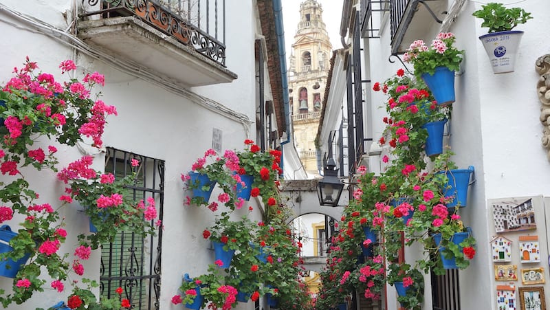 Streets of Andalusian Cordoba, for Spanish Cordoba through a locals' focus