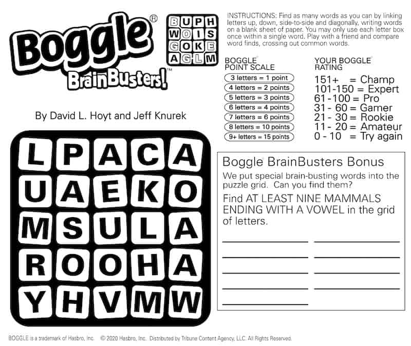 Boggle Word-Find Puzzle