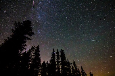 Meteors in a night sky, from a Perseid Meteor Shower