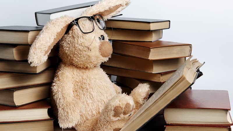 stuffed bunny with books viktoriia novokhatska dreamstime. For Finding your next book to read Image