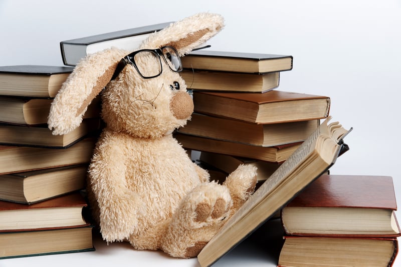 stuffed bunny with books viktoriia novokhatska dreamstime. For Finding your next book to read