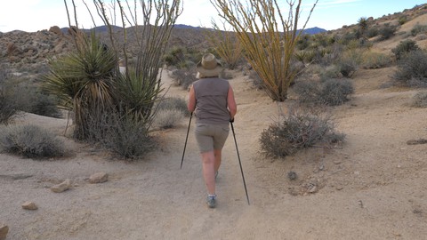 woman hiking Joshua tree. photo credit: dmitrii logvinov dreamstime