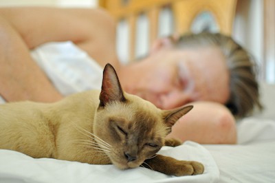 cat and owner peacefully asleep on the bed