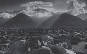 Ansel Adams: Compositions in Nature Image