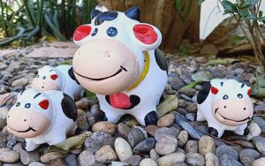 Cows not for chili just for happiness Image