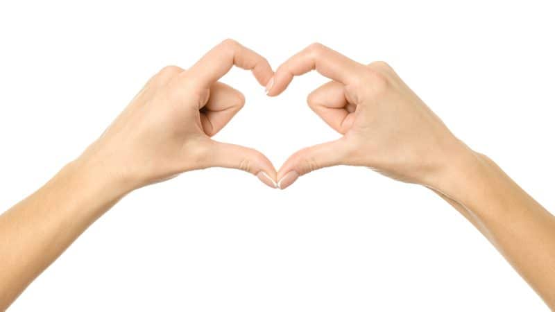 hands and heart Iurii Stepanov dreamstime. For article on Hands and Hearts Working Together Image