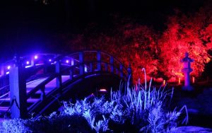 Japanese Garden during Garden Glow at Maymont. Image courtesy of Maymont for What's Booming Image